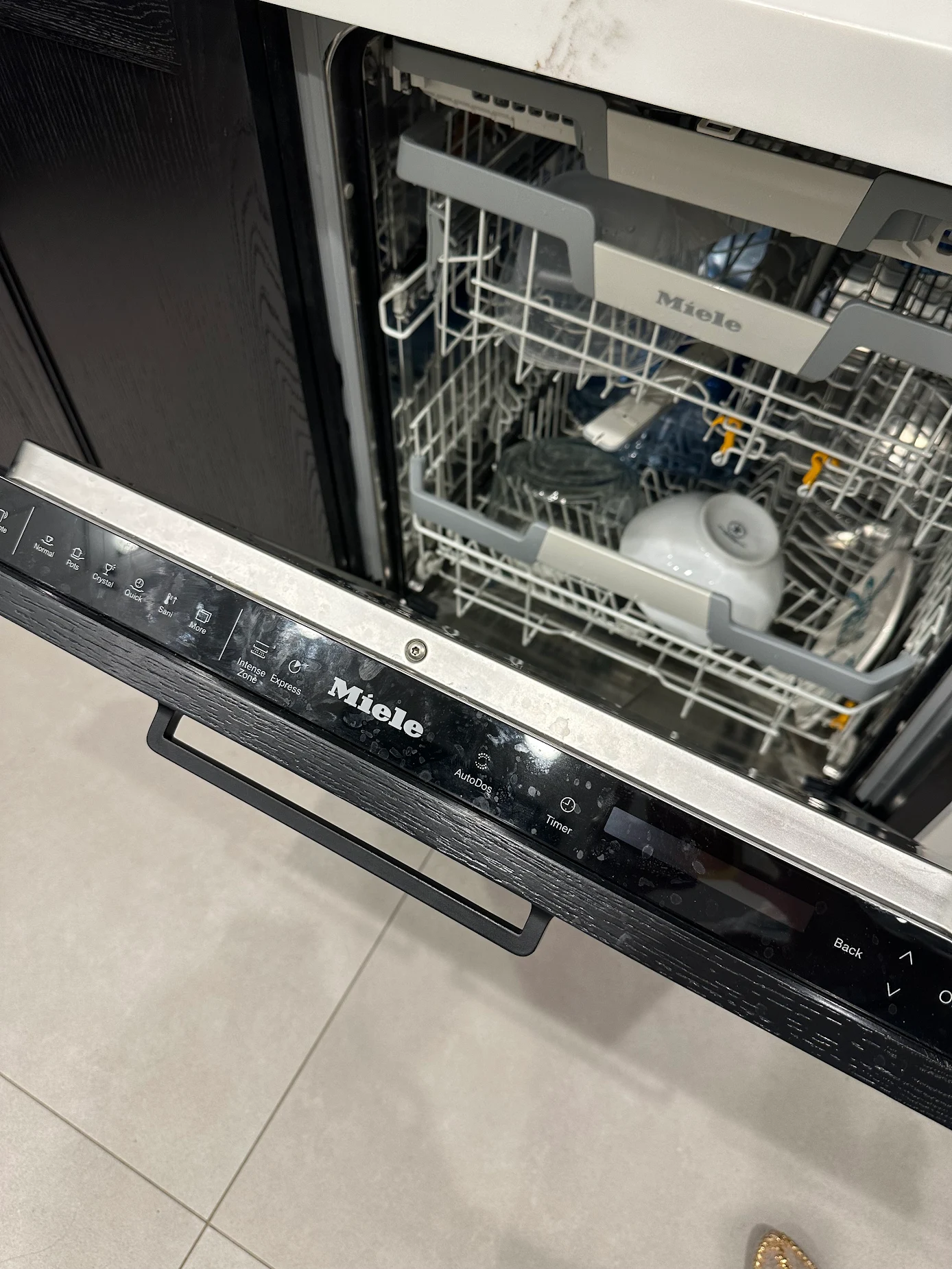 Dishwasher repair